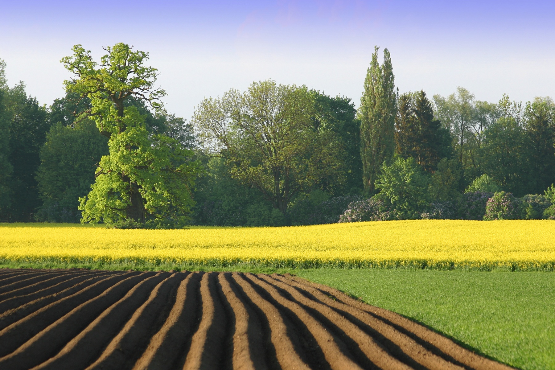 Fiscaal beleid vraagt meer stabiliteit voor duurzame landbouw