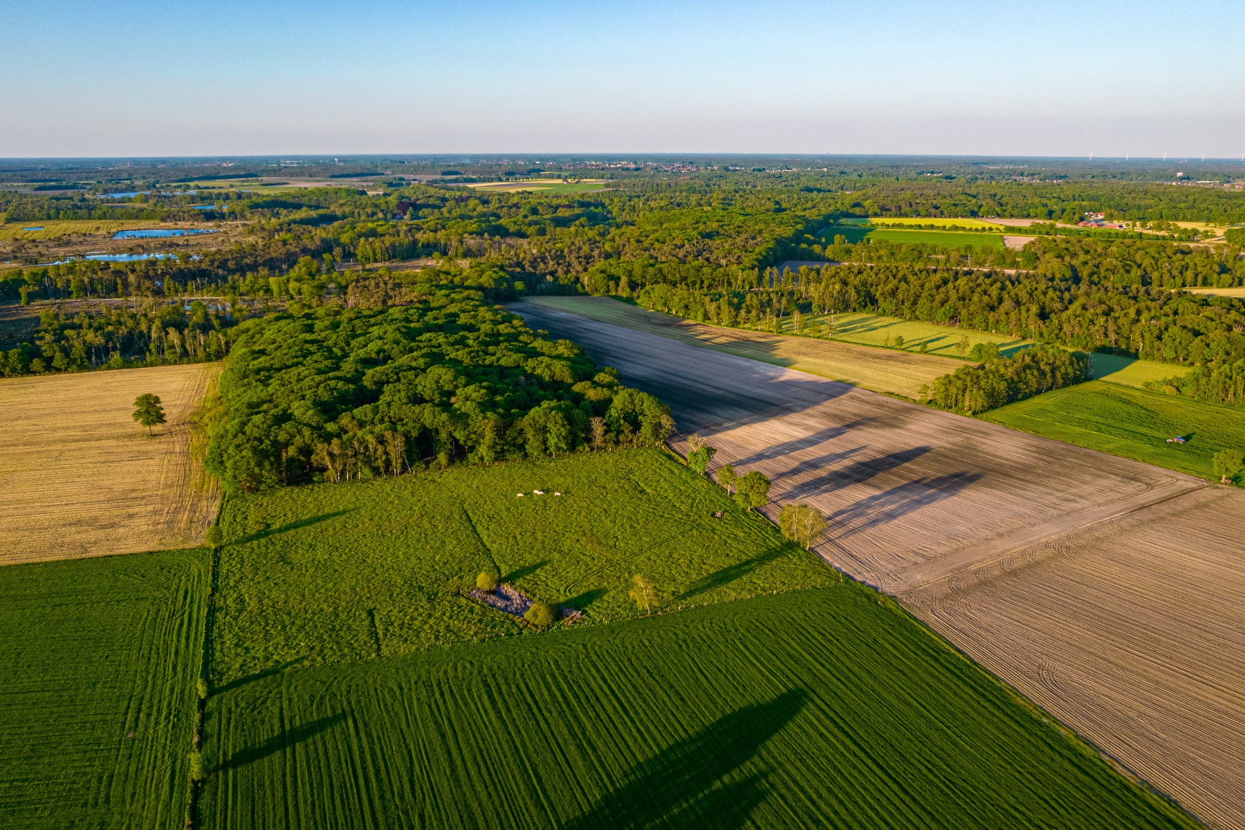Triodos Bank zet in op 275 energieprojecten en lagere uitstoot tegen 2030