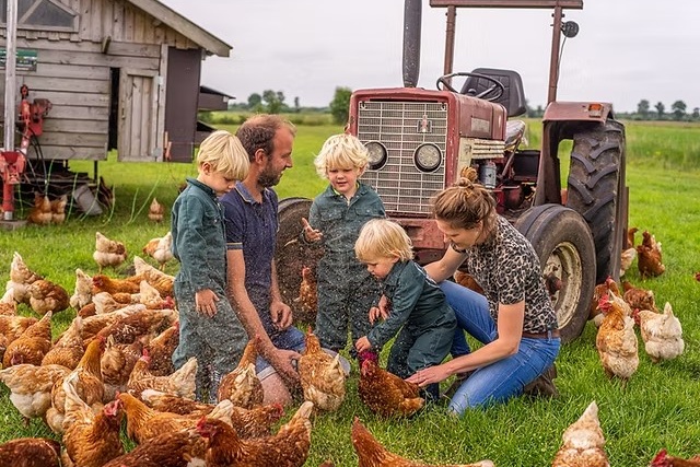 Nevenactiviteiten te groot: Sluiting dreigt voor bio-veehouder na handhavingsbesluit gemeente