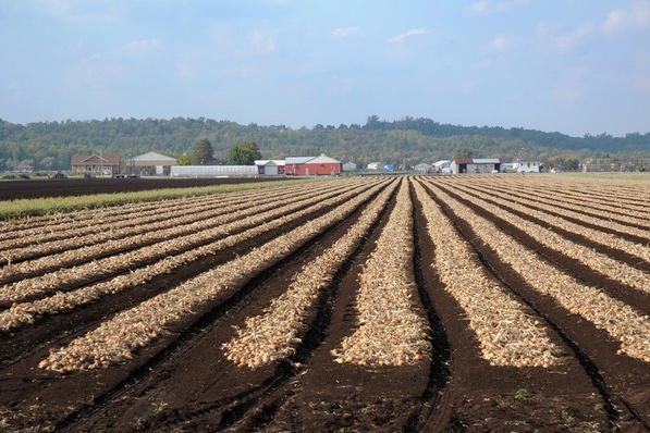 Hogere rekenkundige ondergrens per 1 januari lijkt onhaalbaar