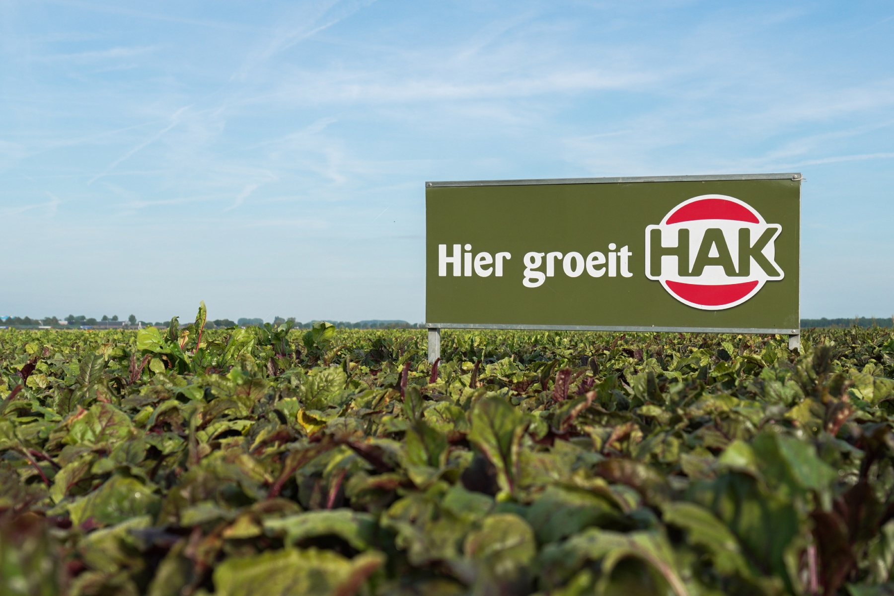 Reacties op bijstellen biologische ambities HAK: “Les in groene luchtkastelen”