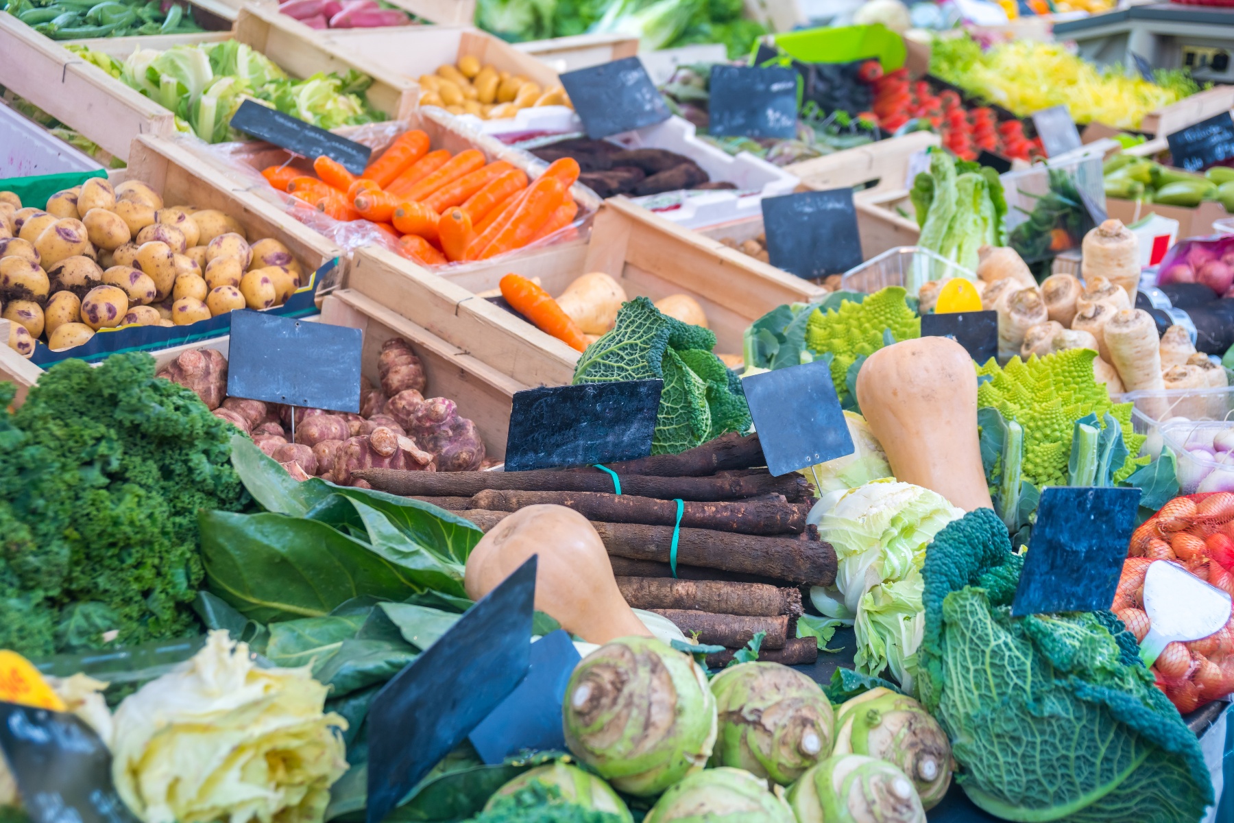 Toulouse heeft wethouder 'Lekker Eten': gezond en lokaal op het menu