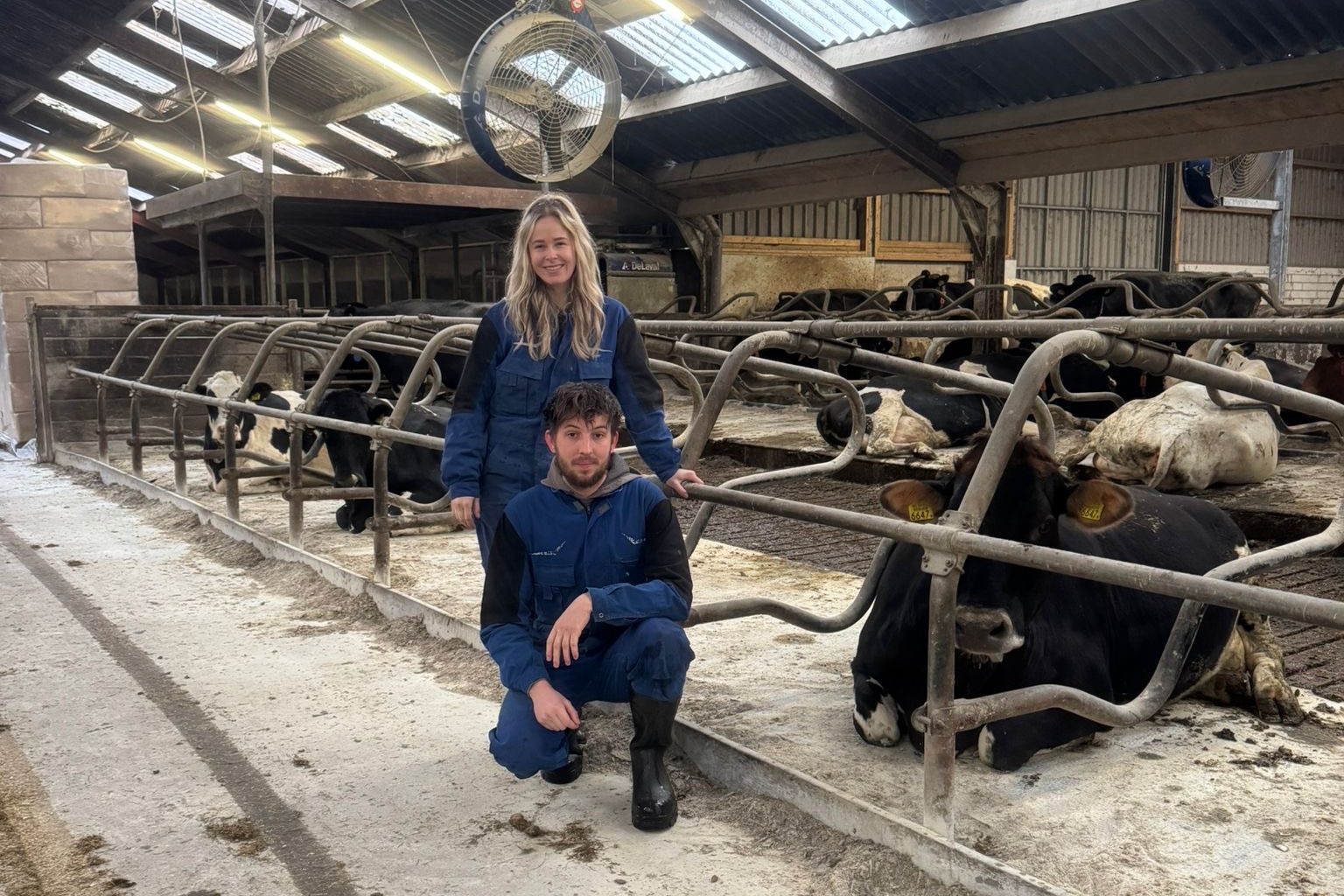 “Een koe geeft melk uit weelde, niet uit armoede”