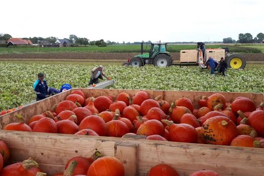 "Over 50 jaar kunnen we ons niet meer indenken dat we ooit PFAS over ons eten spoten"