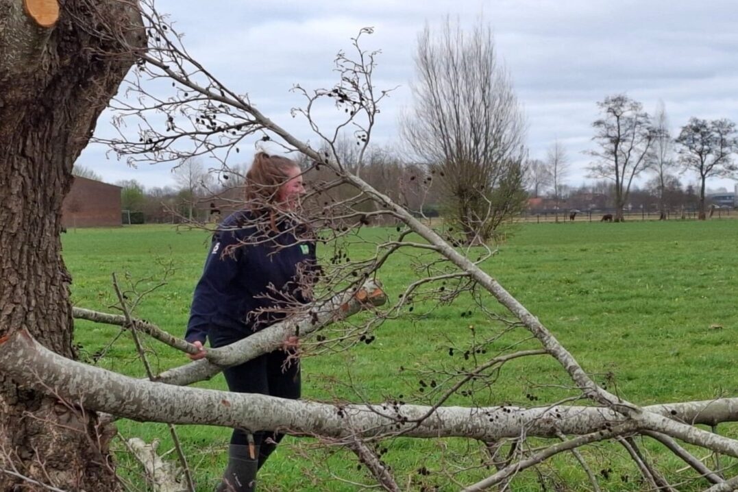Vrijwilligers aan de slag bij biologische boerderij Van Ruiswijk