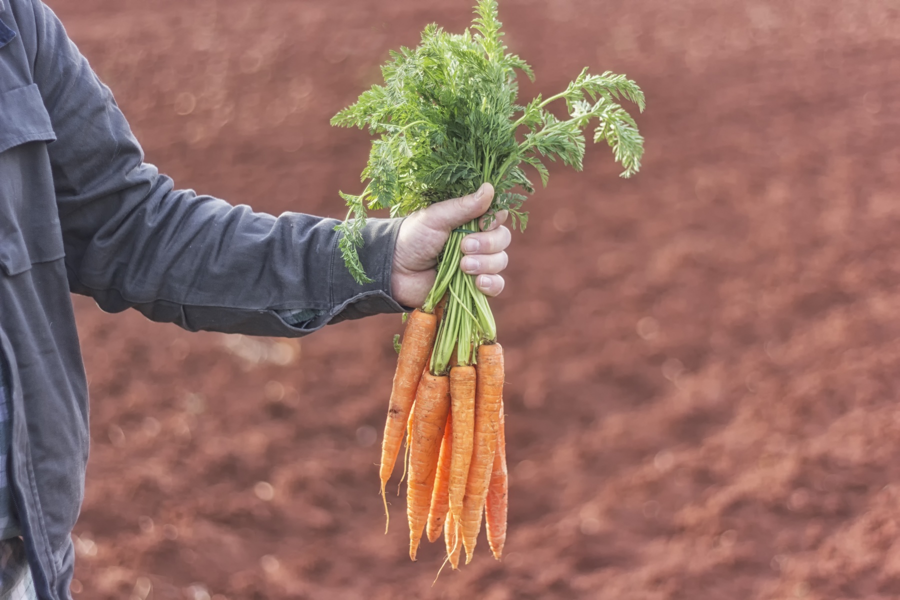 "Consument neemt te weinig af, prijs is te laag in verhouding tot extra werk en risico’s"