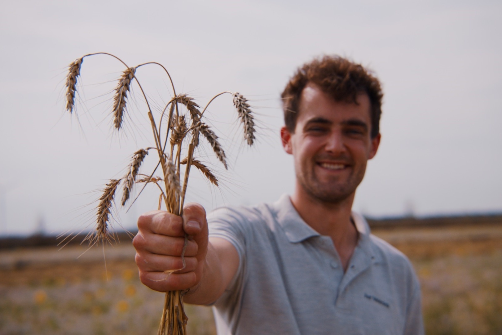 Biologisch brood van Nederlandse tarwe nu landelijk verkrijgbaar bij Albert Heijn