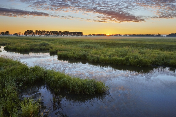 Bijeenkomst over de rol van natuur in besluitvorming