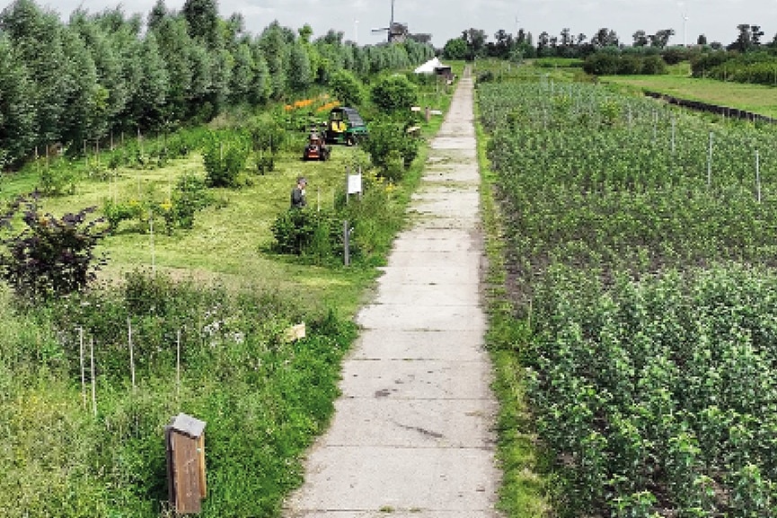 Prijswinnende kwekerij Koperwiek laat zien dat duurzaam ook economisch loont