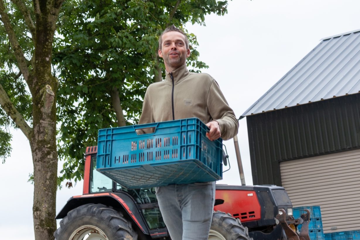 Honderden mensen redden 60 ton afgekeurde biologische aardappelen in Steenbergen
