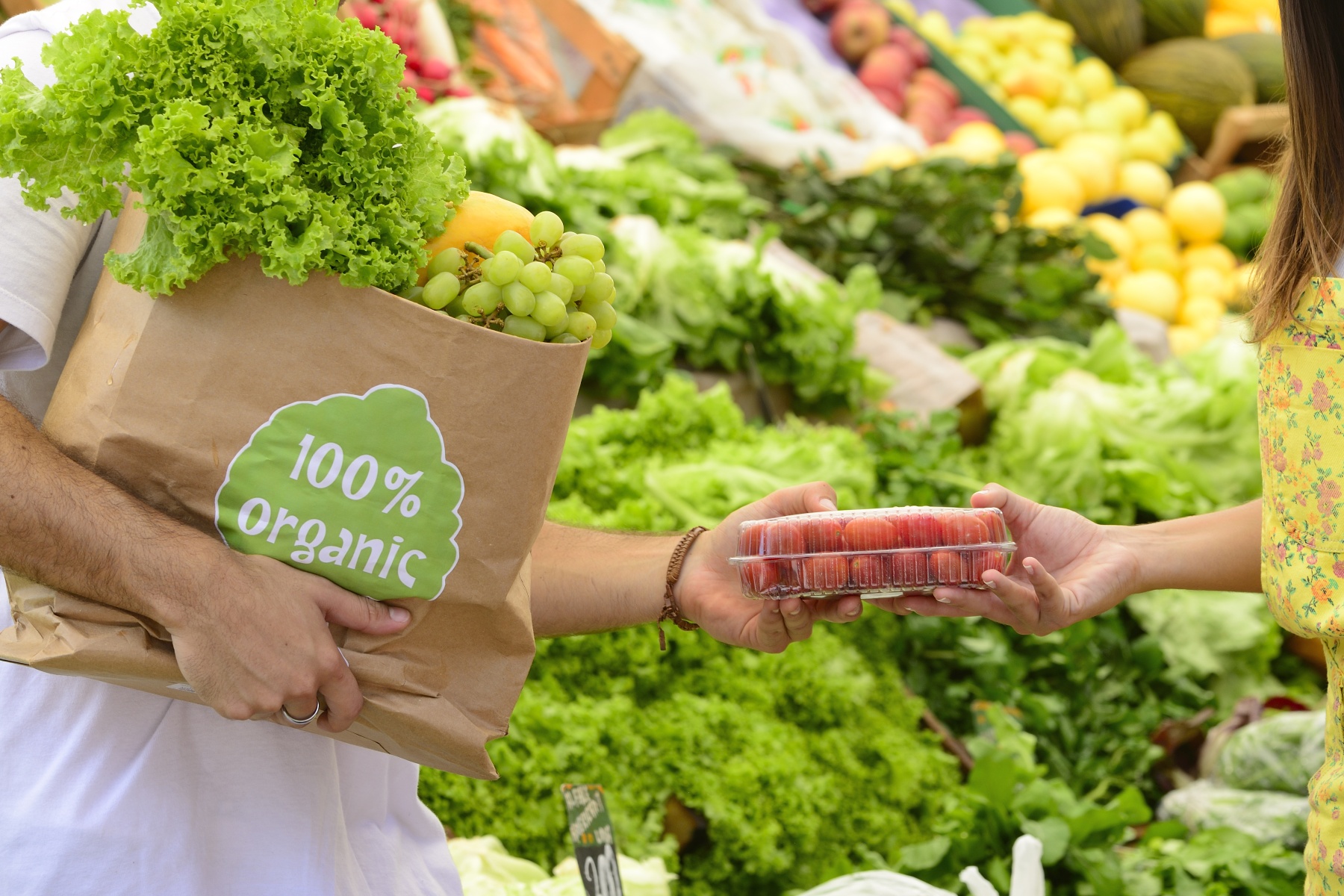 Europese biologische markt laat voorzichtig herstel zien