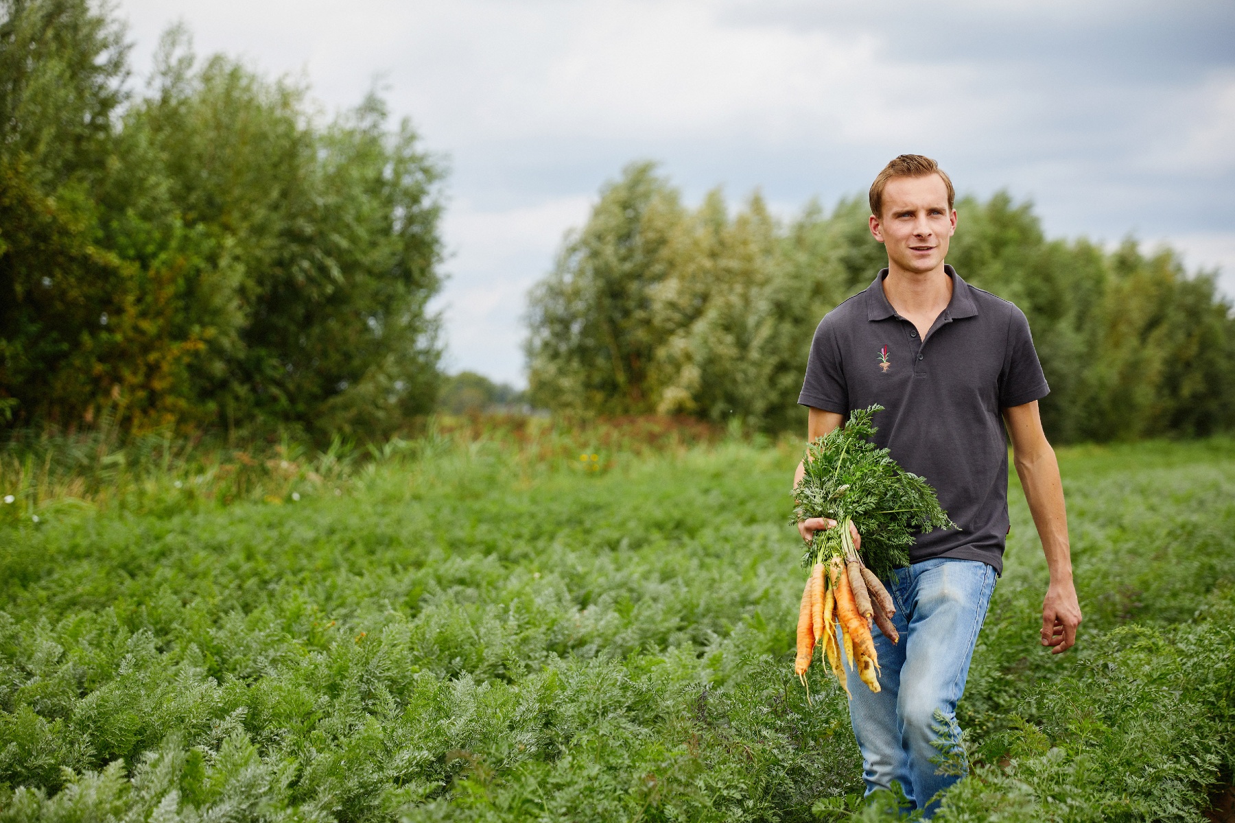 Familieboerderij brengt biologische groenten van het land naar de Randstad