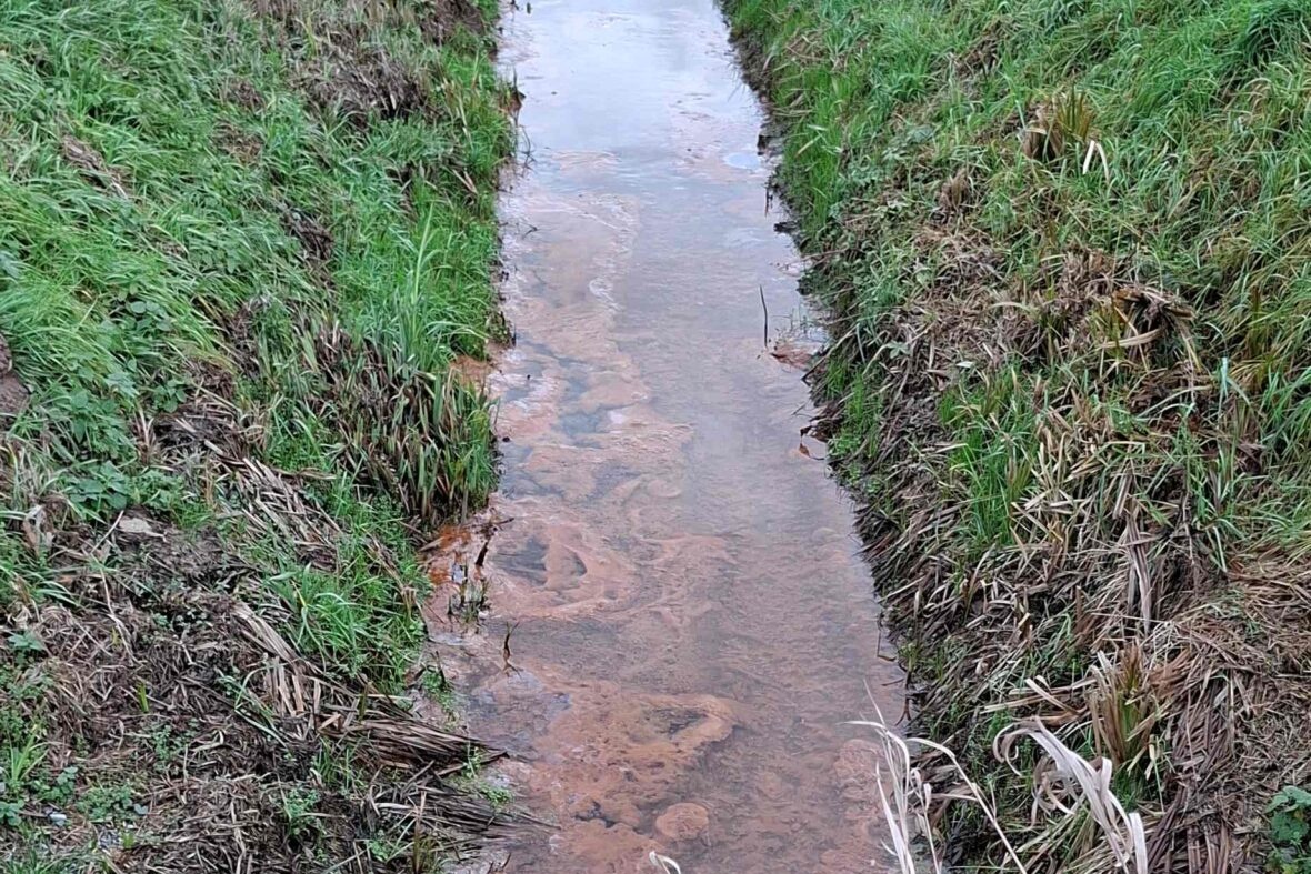 Waterkwaliteit Nederland blijft achter bij Europese eisen