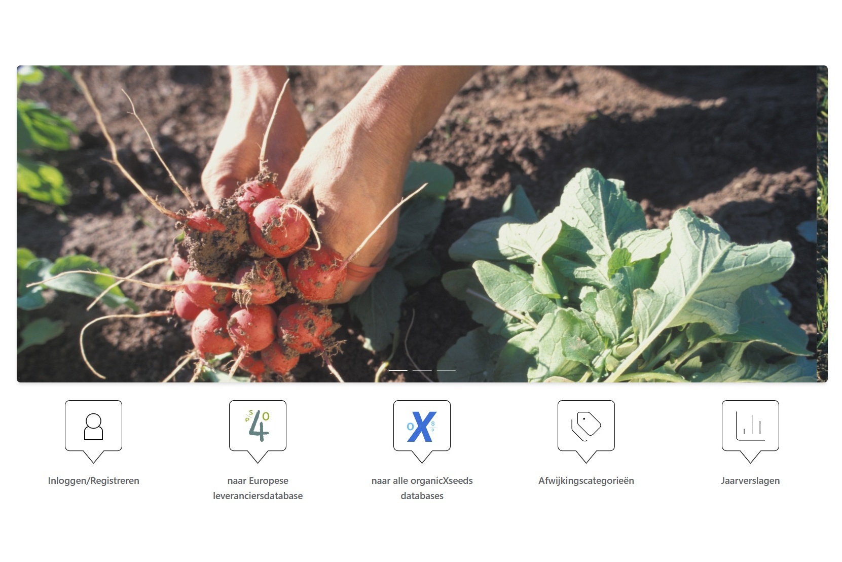 Vernieuwde organicXseeds maakt aanbod biologisch zaad- en plantmateriaal inzichtelijker