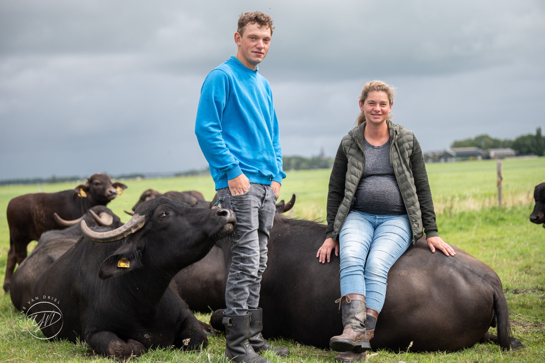 Zwitsers geïnspireerde buffelboerderij houdt uiterwaarden gezond