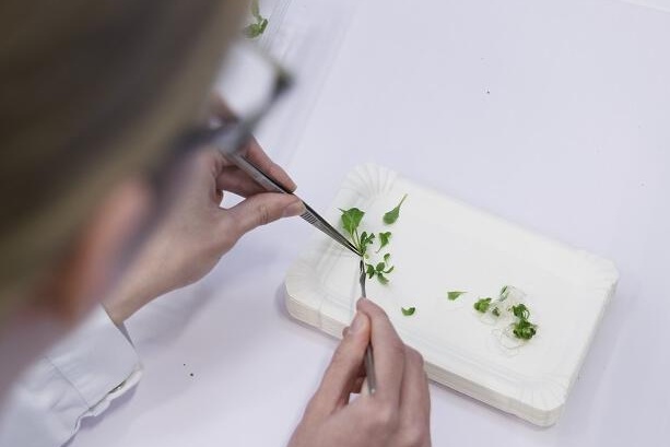 "Zodra je biologisch niet meer kunt onderscheiden van gentech, verdwijnt de betekenis van het woord"