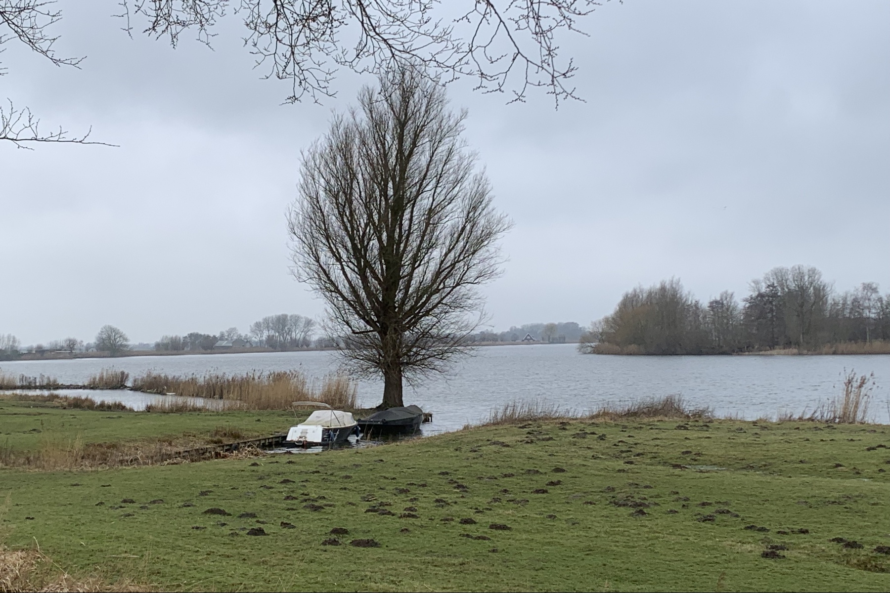 Waterkwaliteit Zuid-Hollandse eilanden sinds 2021 niet verbeterd