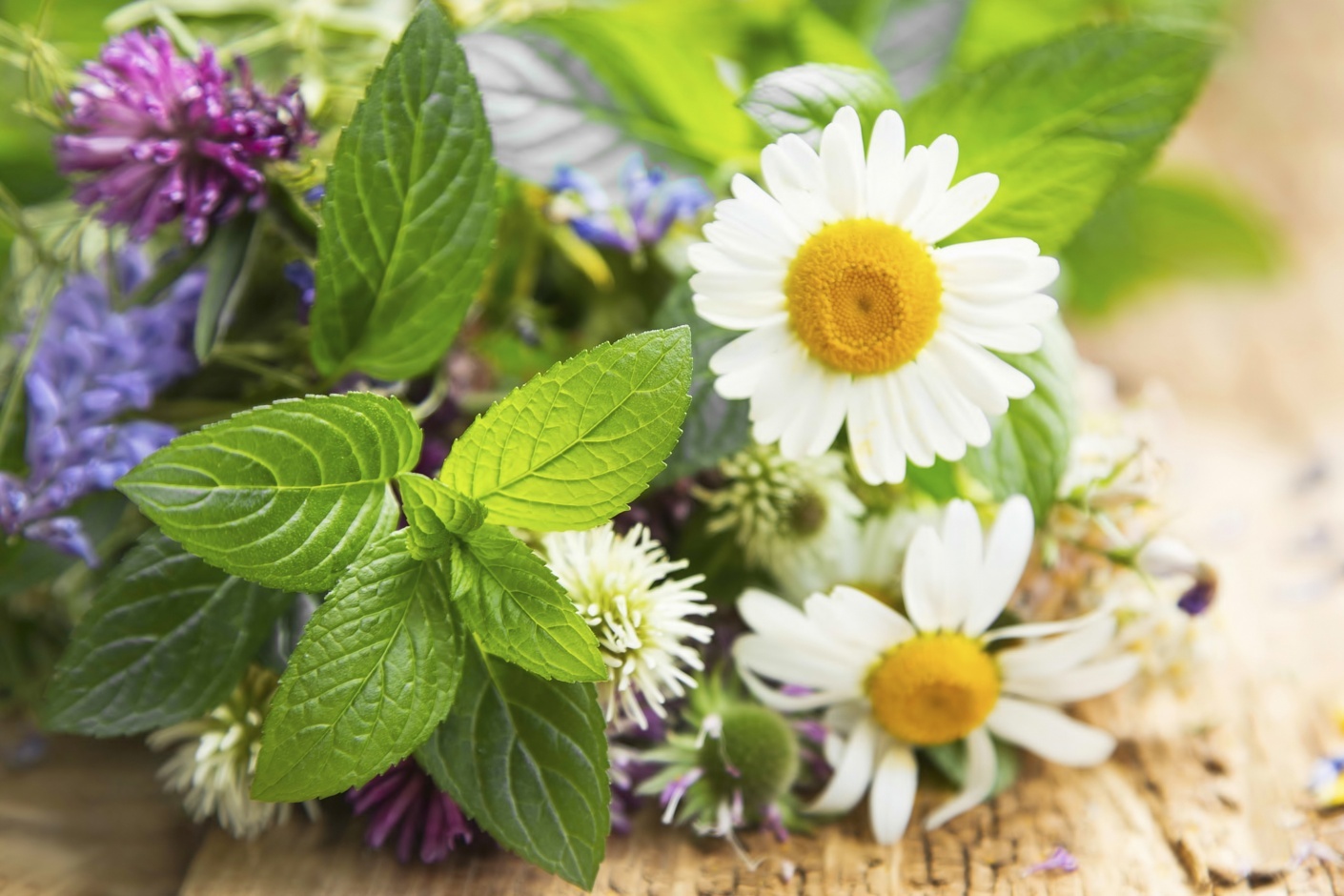"Echte verandering vraagt om andere inkoopafspraken en langetermijnsamenwerking"