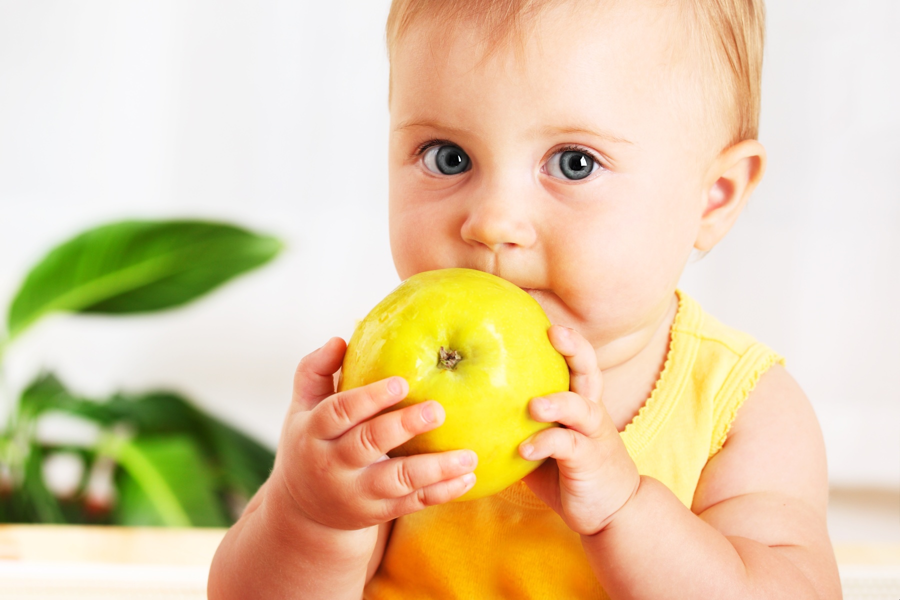 "Gangbare appels vaak ongeschikt voor baby’s en peuters door residuen"