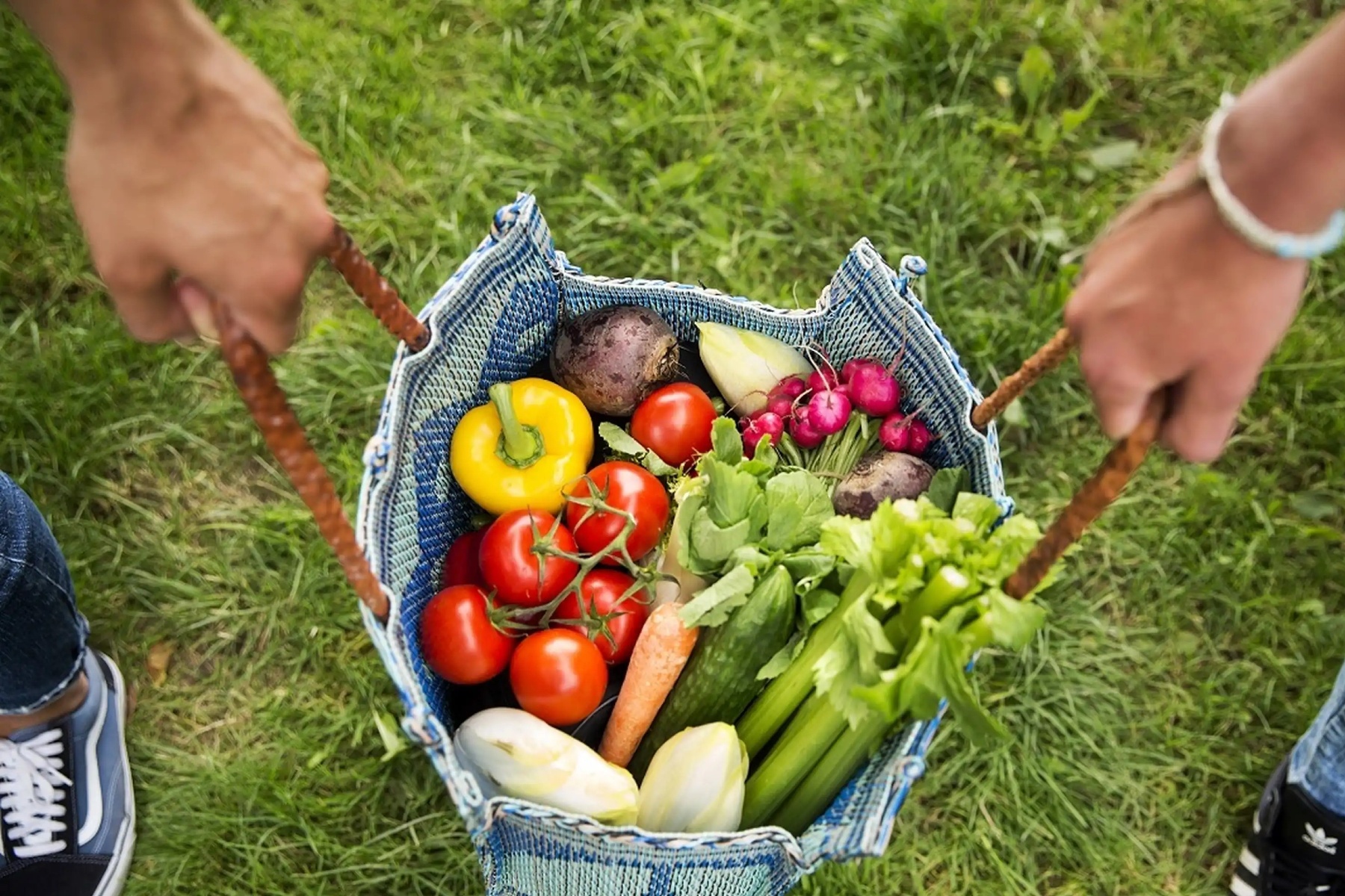 "Nieuw coalitieakkoord betekent doorbraak voor biologische sector"