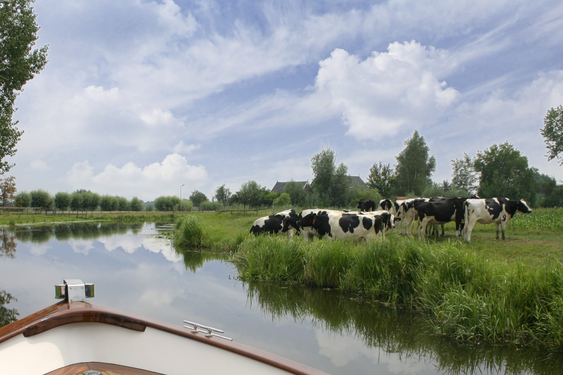 Biologisch-dynamische veehouderij in Eilandspolder in de knel door versleten boten