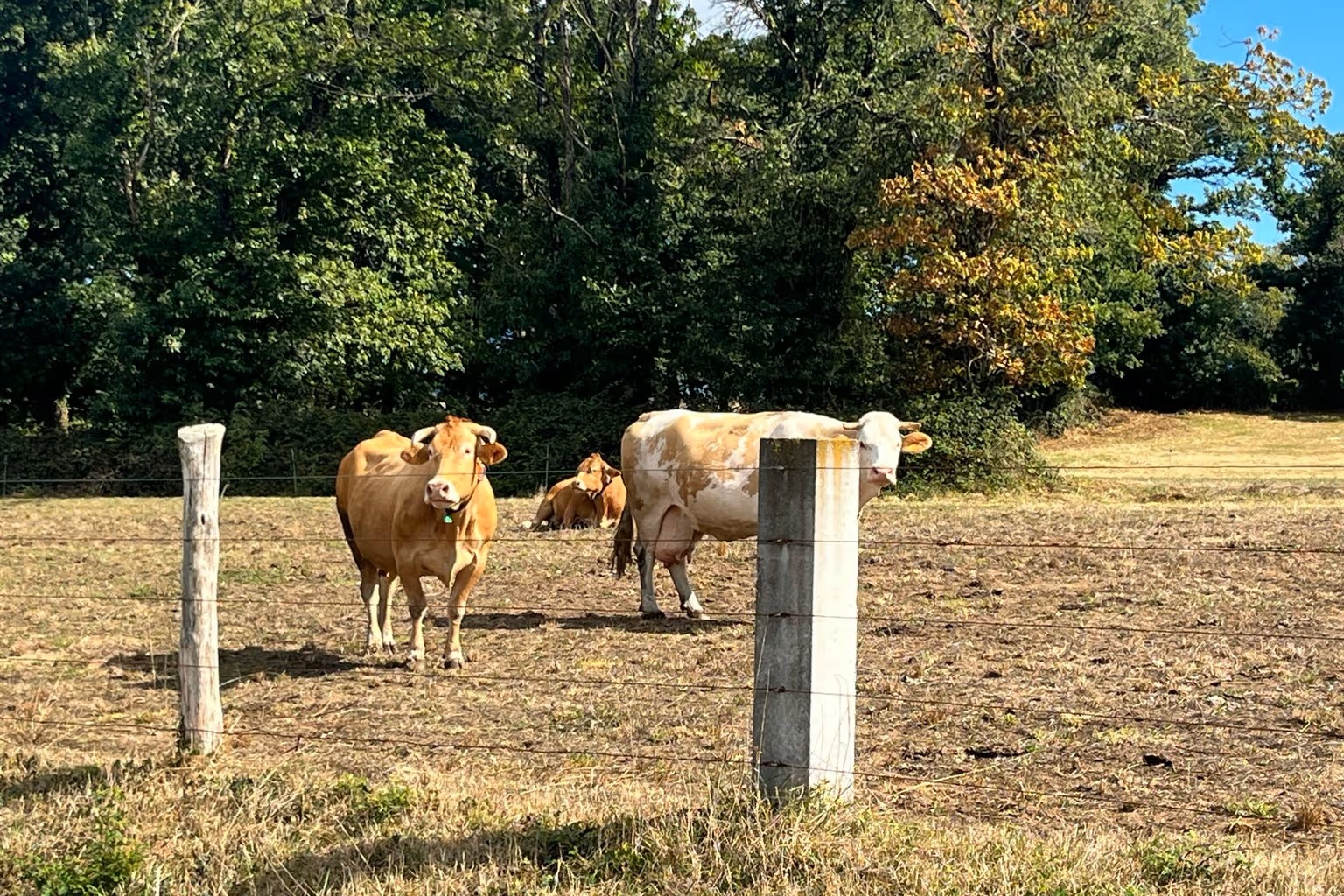 Spanje grootste producent van biologische landbouw in Europa