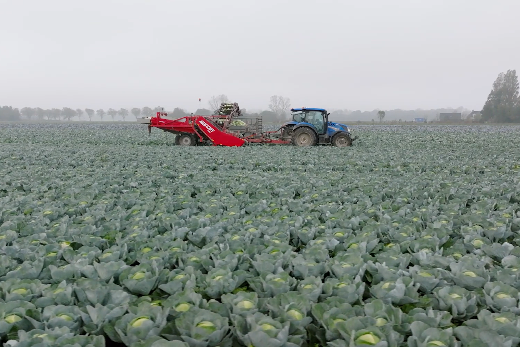 "Als de klant die kant op gaat, dan ben je het aan je stand verplicht"