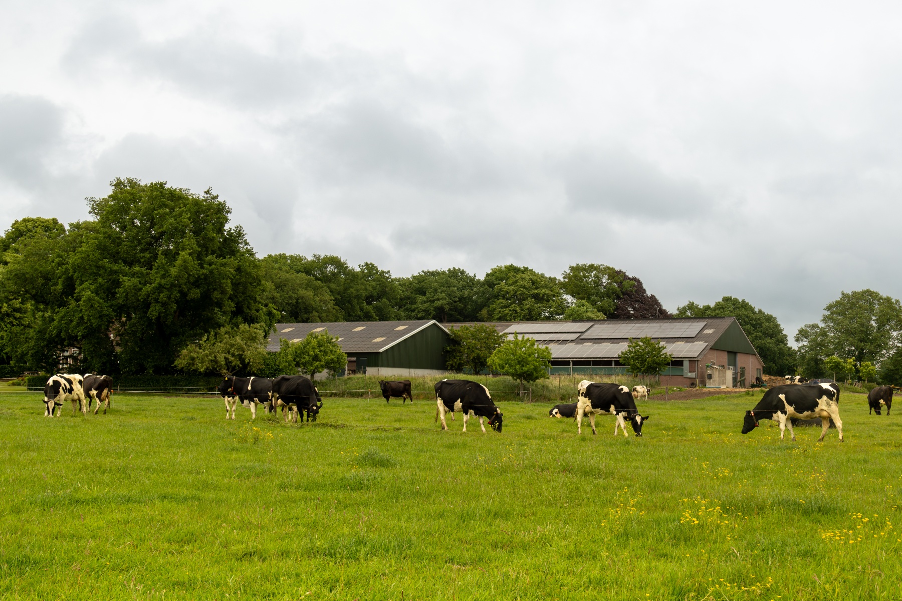 Biologisch boeren aan de stadsrand: Het Rode Huis zoekt directe verbinding met de consument