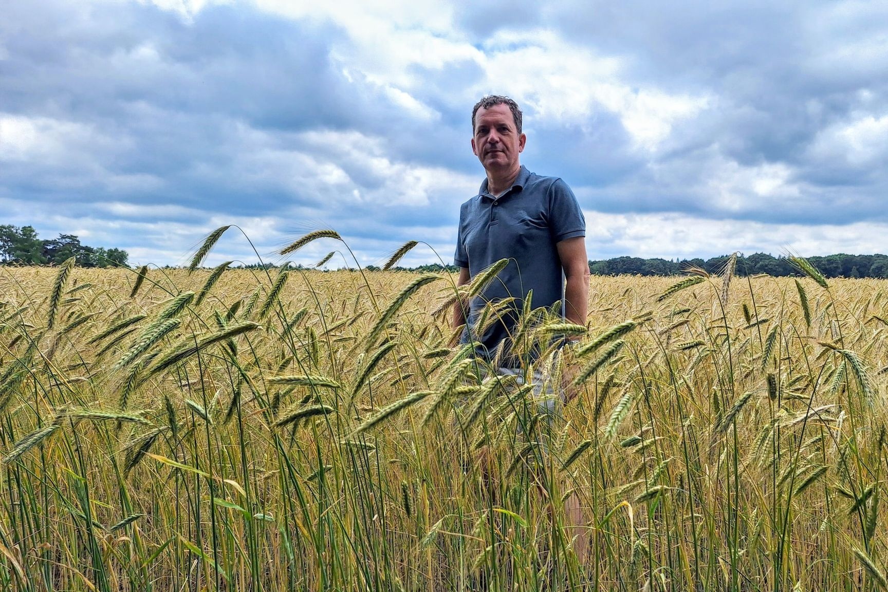 Van lupine tot boerenkool: WWF en Louis Bolk Instituut presenteren 33 toekomstbestendige gewassen