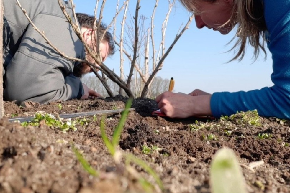 Nieuwe experimenteerlocaties moeten innovatie biologische landbouw en agroforestry versnellen