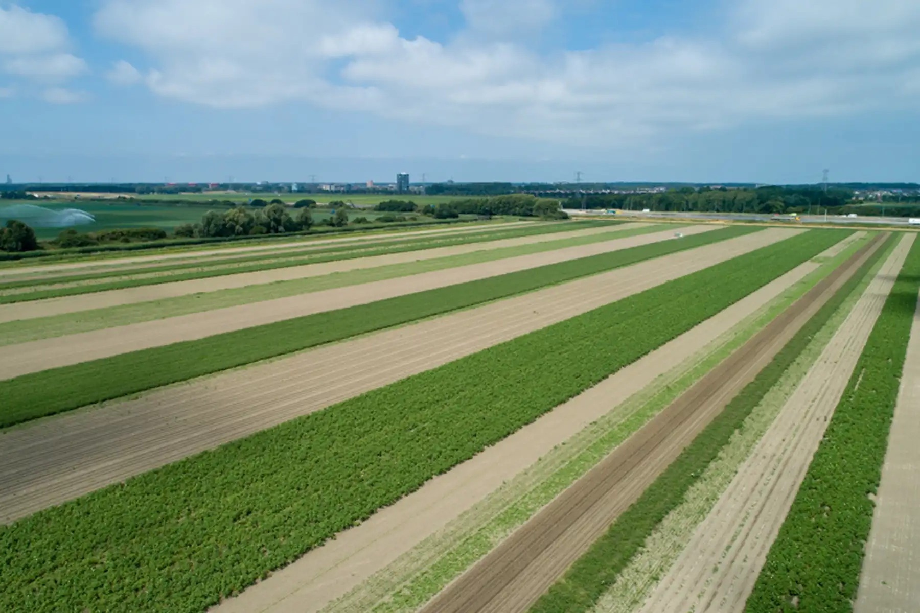 Nieuw pachtstelsel moet investeringen in biologische landbouw stimuleren