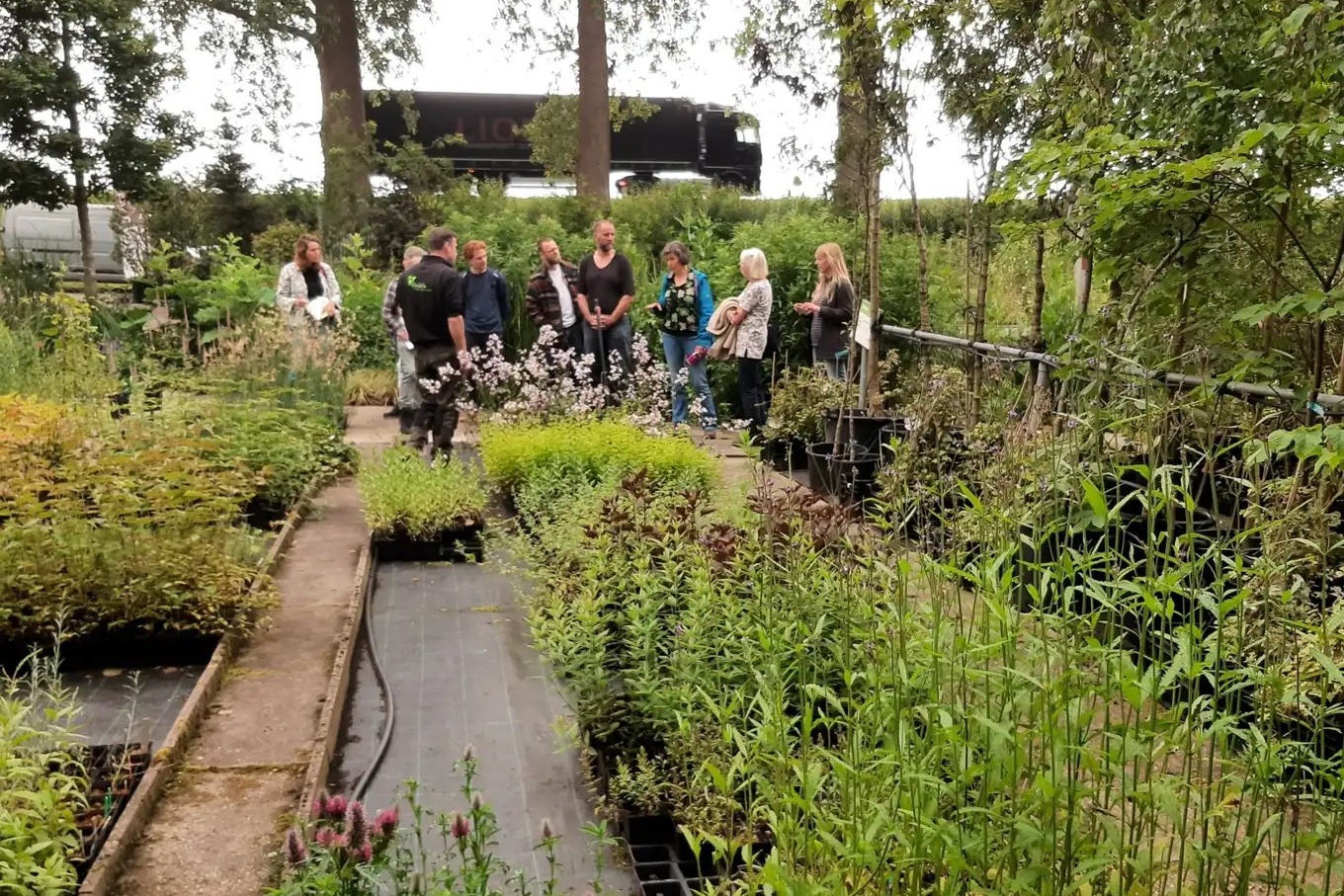 Brochure biologische sierteelt voor omschakelaars