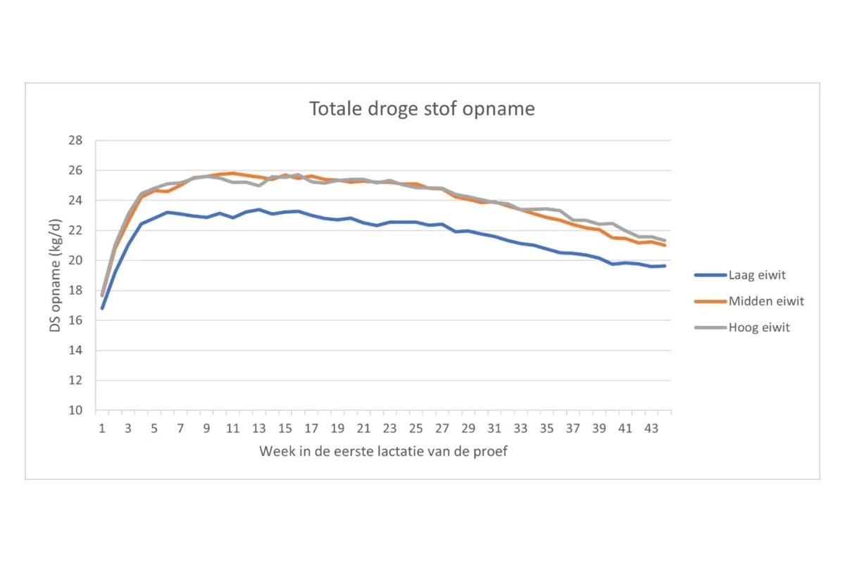 Ruimte voor minder eiwit in het rantsoen zonder verlies aan melkproductie