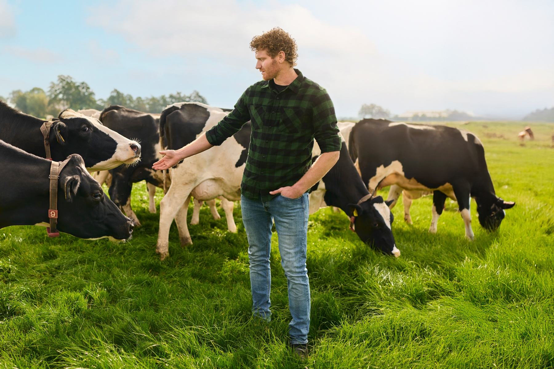 FrieslandCampina boekt solide resultaten ondanks dalende zuivelprijzen
