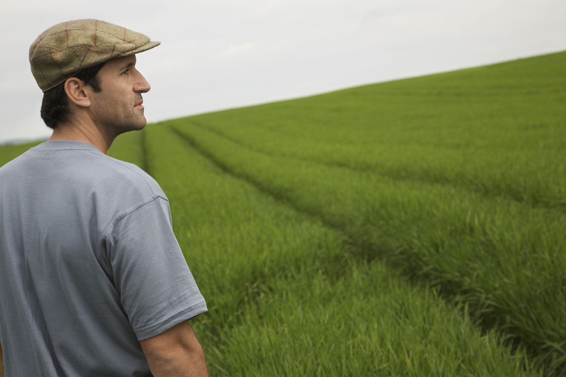 Goede omstandigheden voor Schotse boeren om over te stappen op biologisch