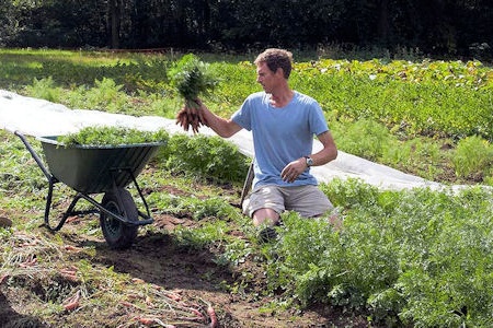 Korteketeninitiatief zet biologische rode bieten in de schijnwerpers