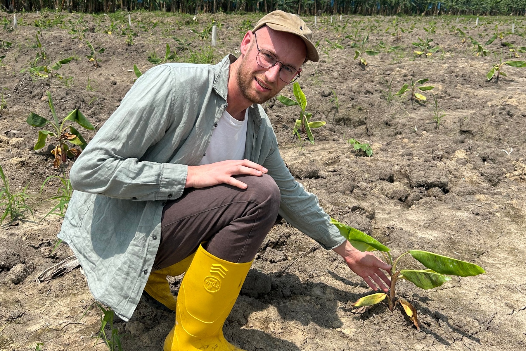 True Price-actie Odin moet helpen om bananenteelt in Peru toekomstbestendig te maken