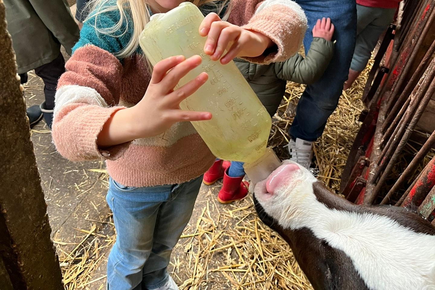 Bedrijfsbezoek bij Vlaams melkveebedrijf in omschakeling naar bio