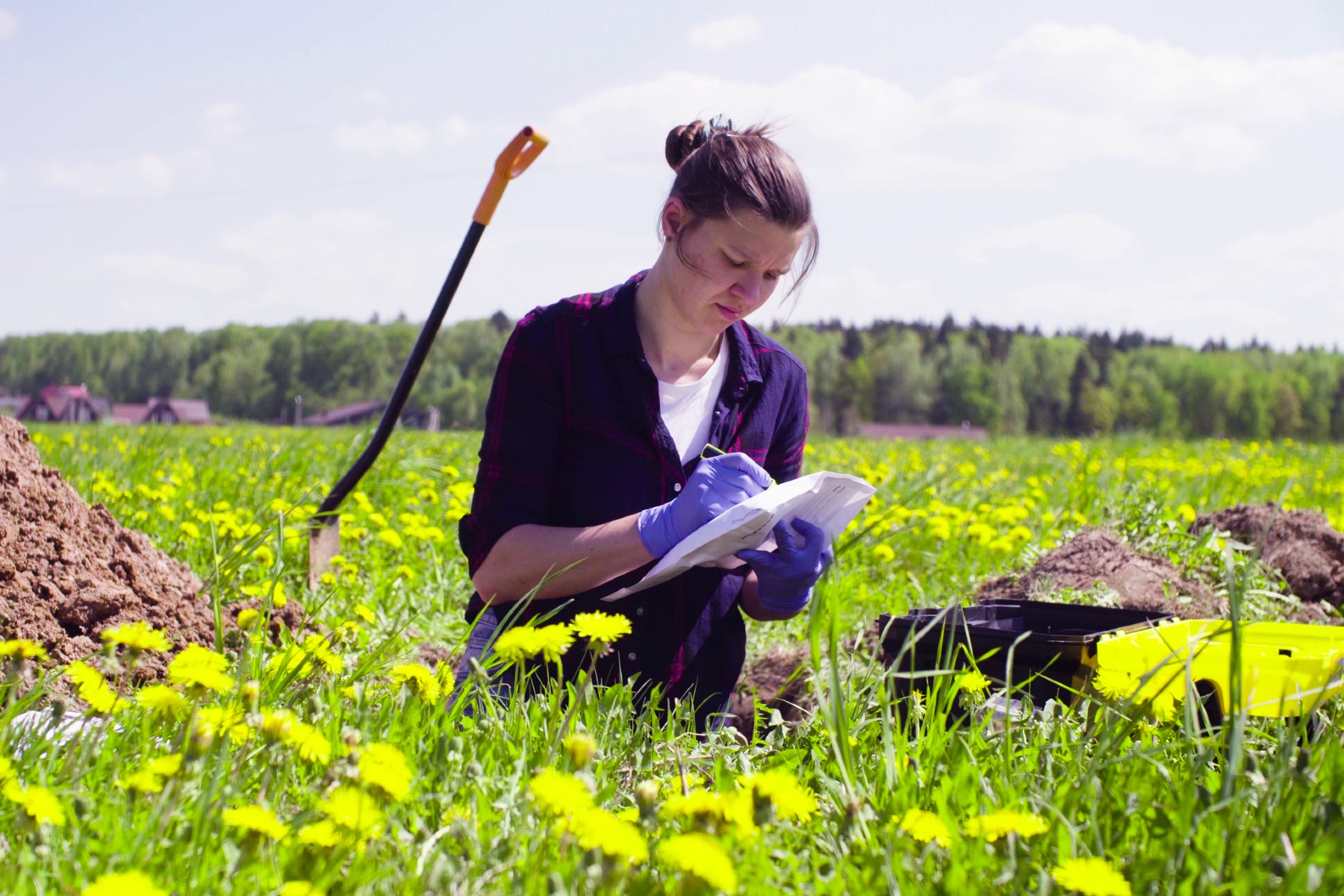 Het belang van verontreinigingsbeheer in de biologische landbouw