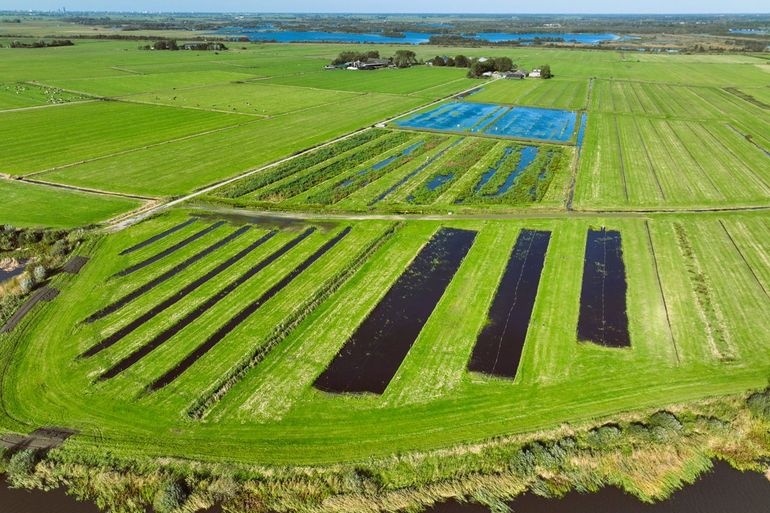 Vijf jaar onderzoek toont: landbouw en natuurherstel gaan wél samen