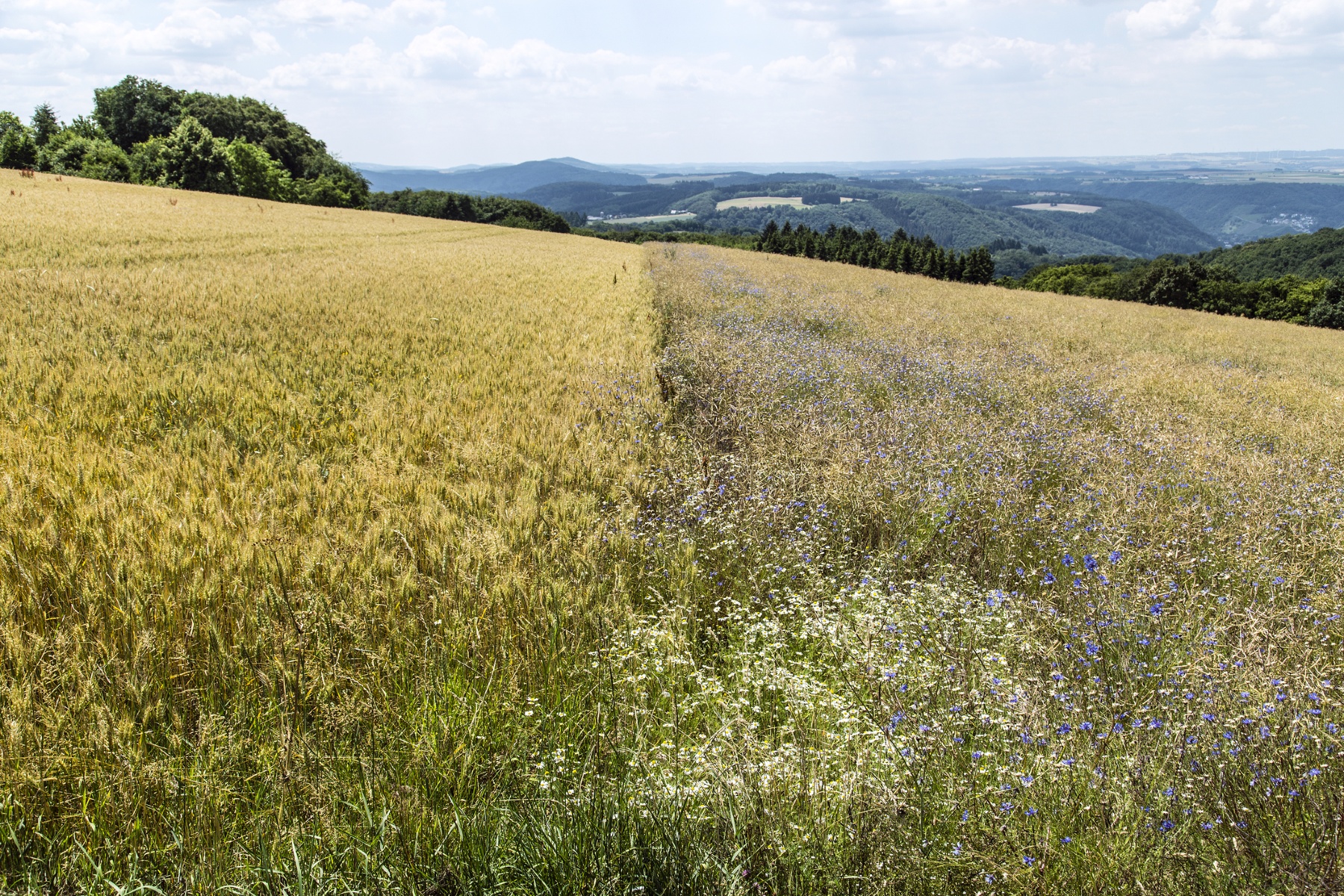 Beieren verzet zich tegen bezuinigingen op biologische landbouw