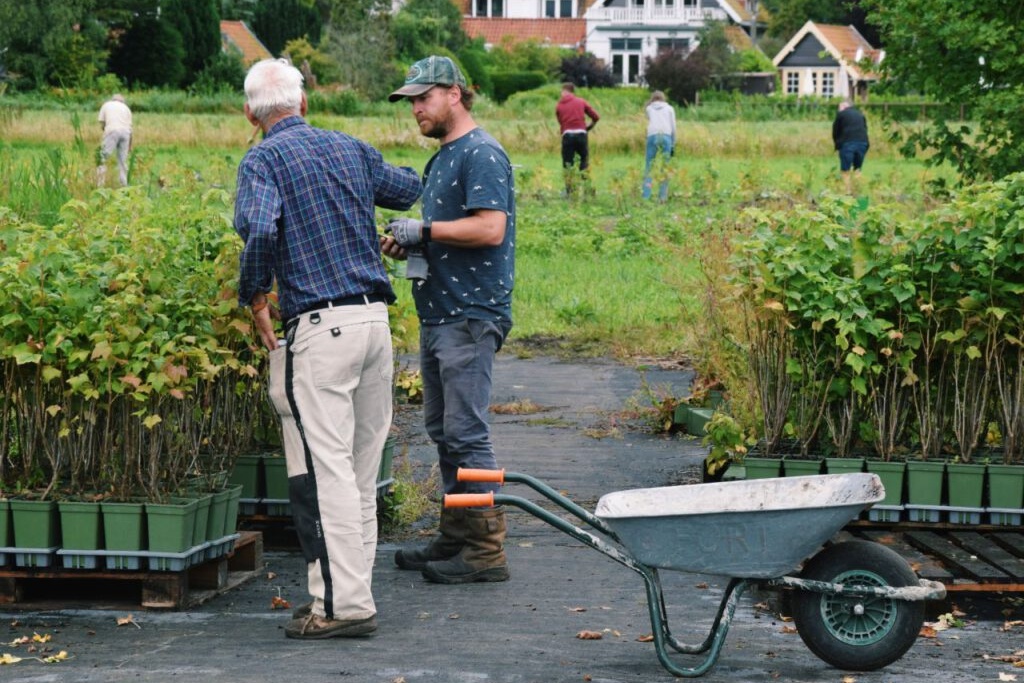 Zee van plastic in Wassenaar omgetoverd tot pluktuin en voedselbos