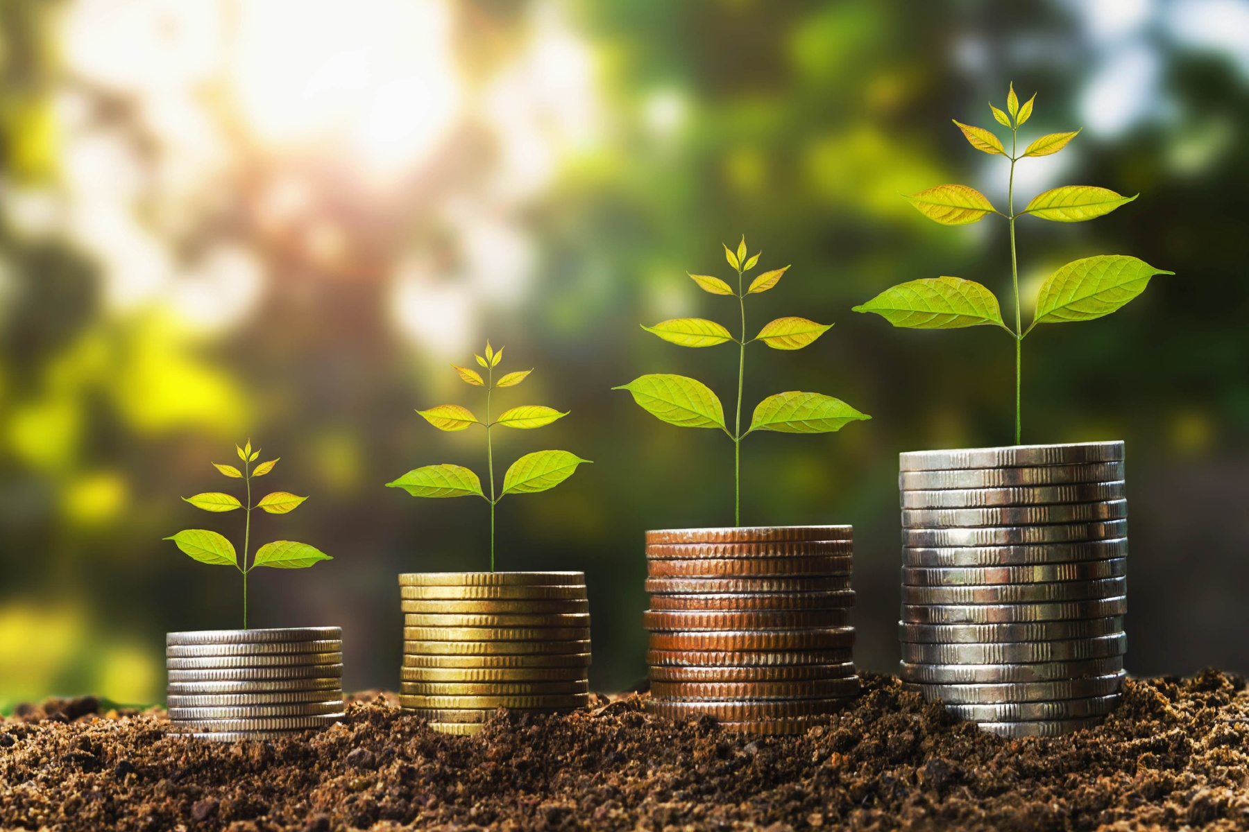 Extra investeringen zijn nodig om doel van 15% biologisch areaal in 2030 te halen