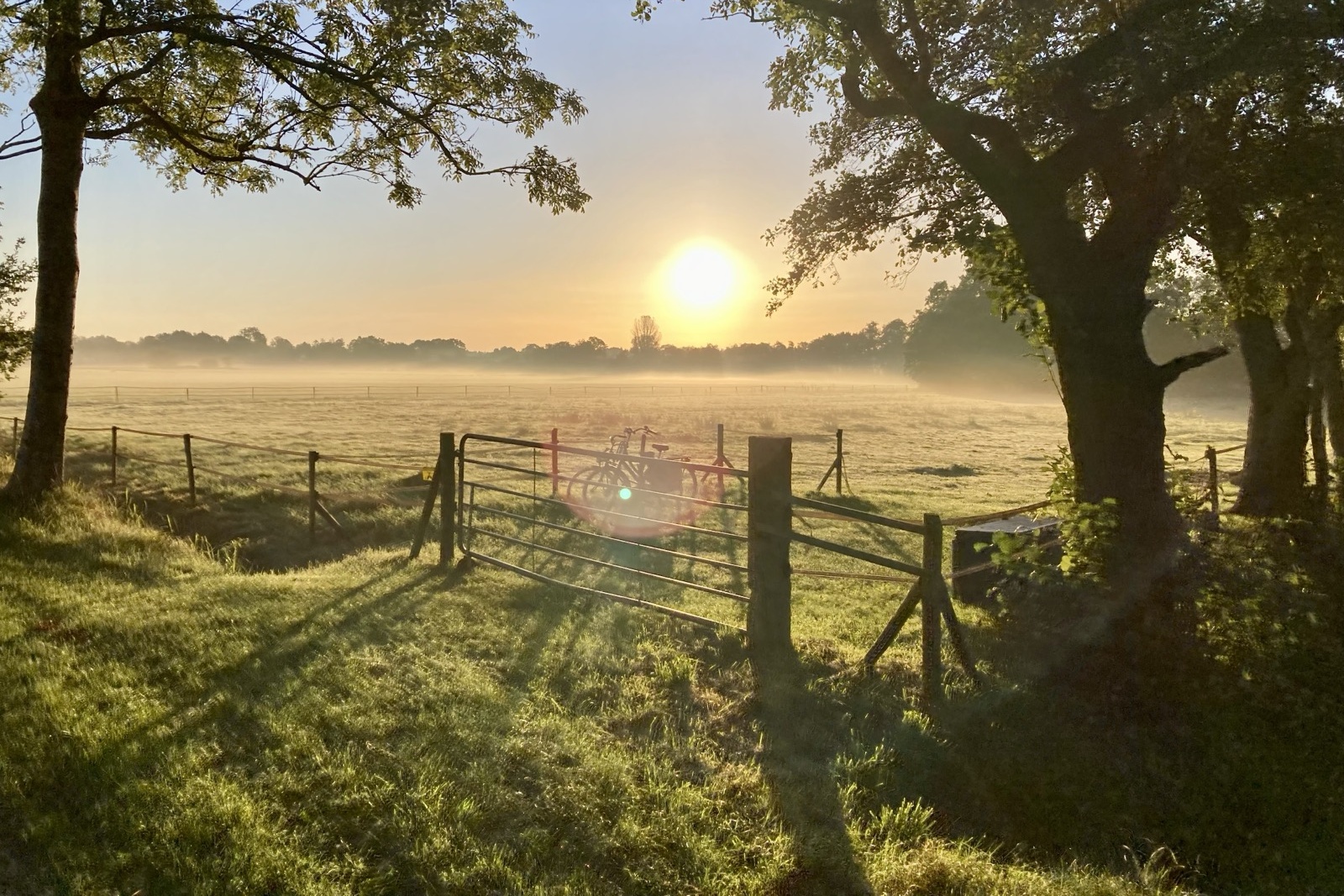 Oproep aan gemeenten om werk te maken van lokaal landbouw- en voedselbeleid