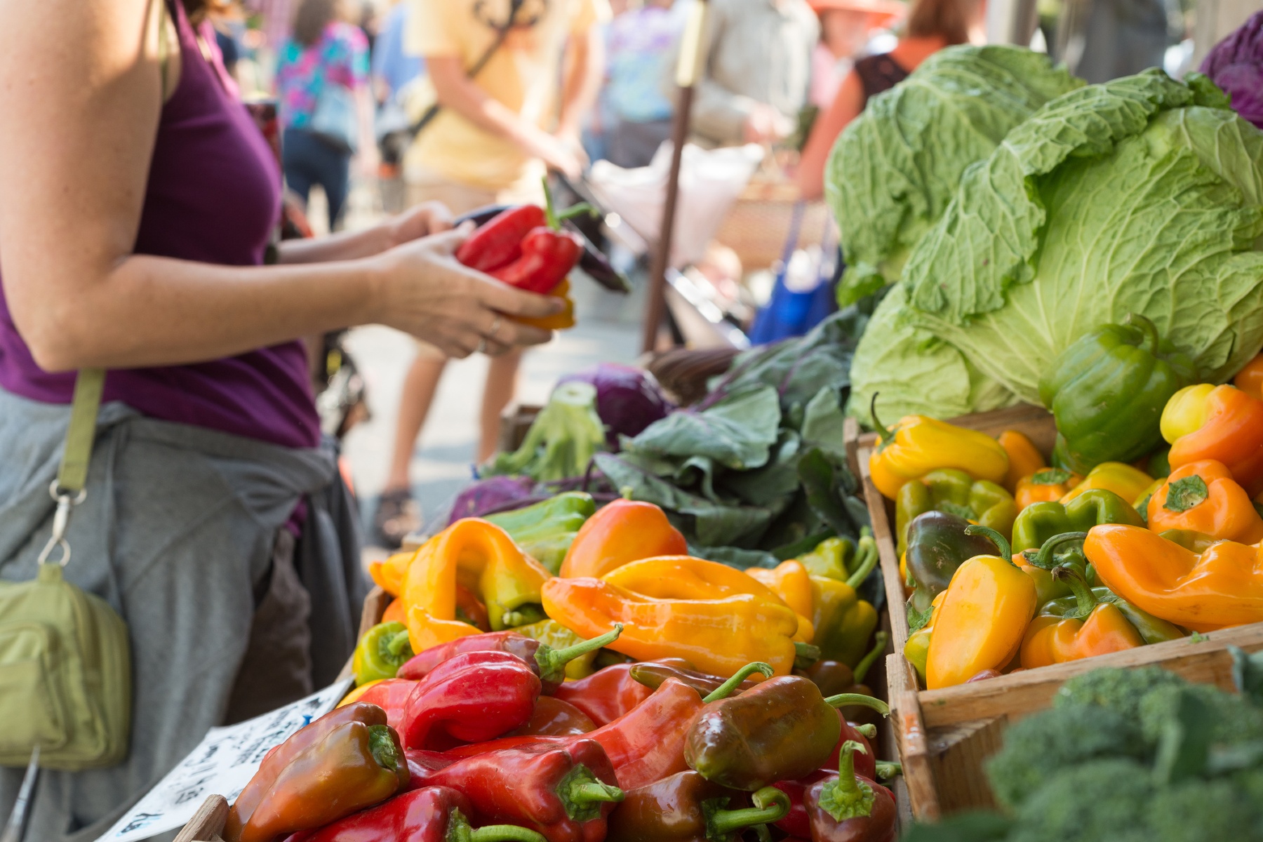 VLAM zoekt Vlaamse producenten voor Week van de Korte Keten in mei