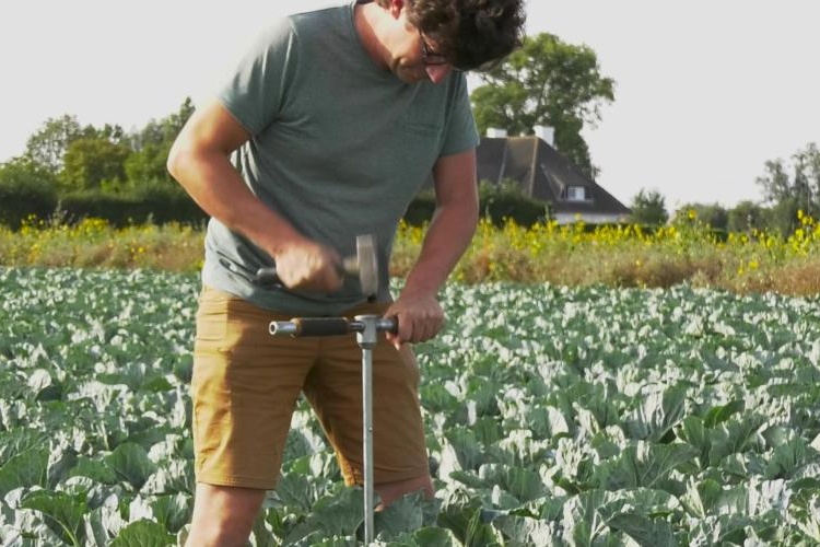 Geen eenduidig alternatief voor OPF en Greencircle in biologische teelt