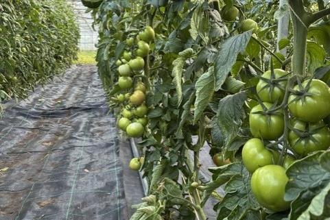 “Het moet blijven zoals het nu is, maar dan met iets meer nadruk op de biologische kant”