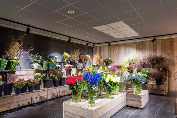 Stolze richt Tuincentrum De Bosrand gasloos in