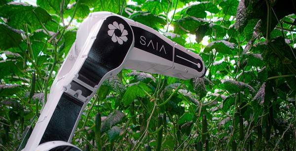 Investors to support developers bringing leaf cutting robot to the market - Vimarsana News