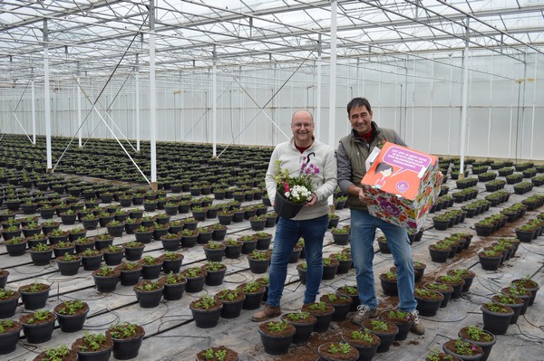 Plantenkweker heeft met Tophangpotten.nl een ‘good verhaol’